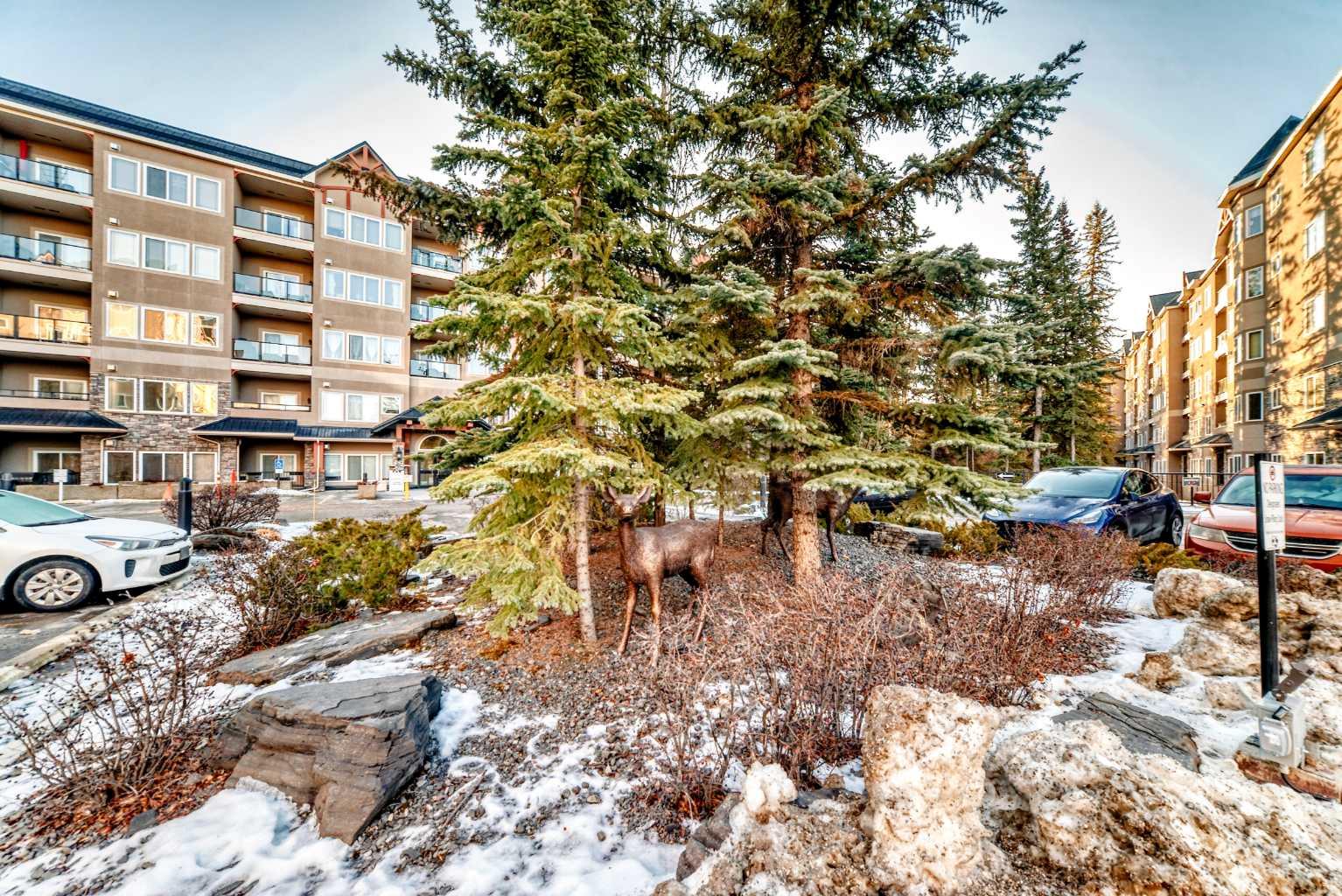 MLS #A2275245 image #4