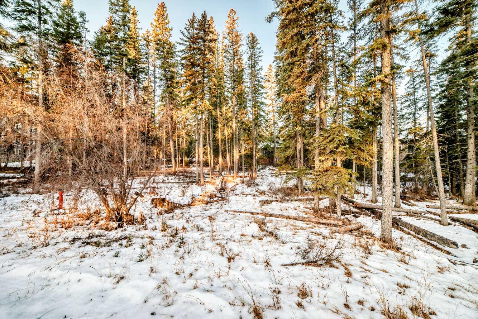 MLS #A2275245 image #8