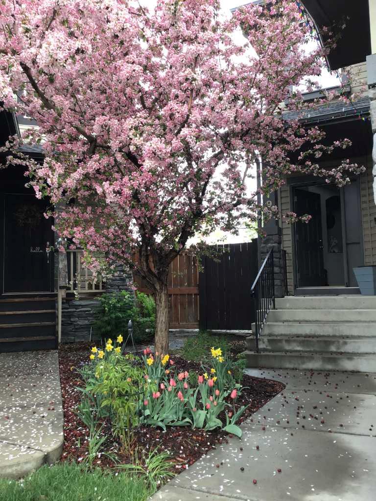 MLS #A2275886 image #2