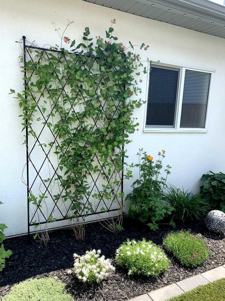 MLS #A2275953 image #48