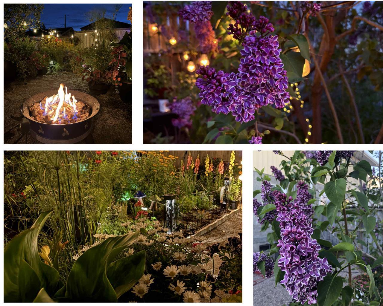 MLS #A2276152 image #28