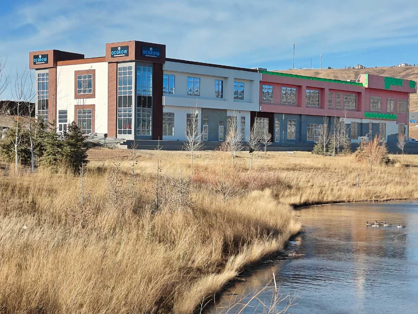 MLS #A2276179 image #12