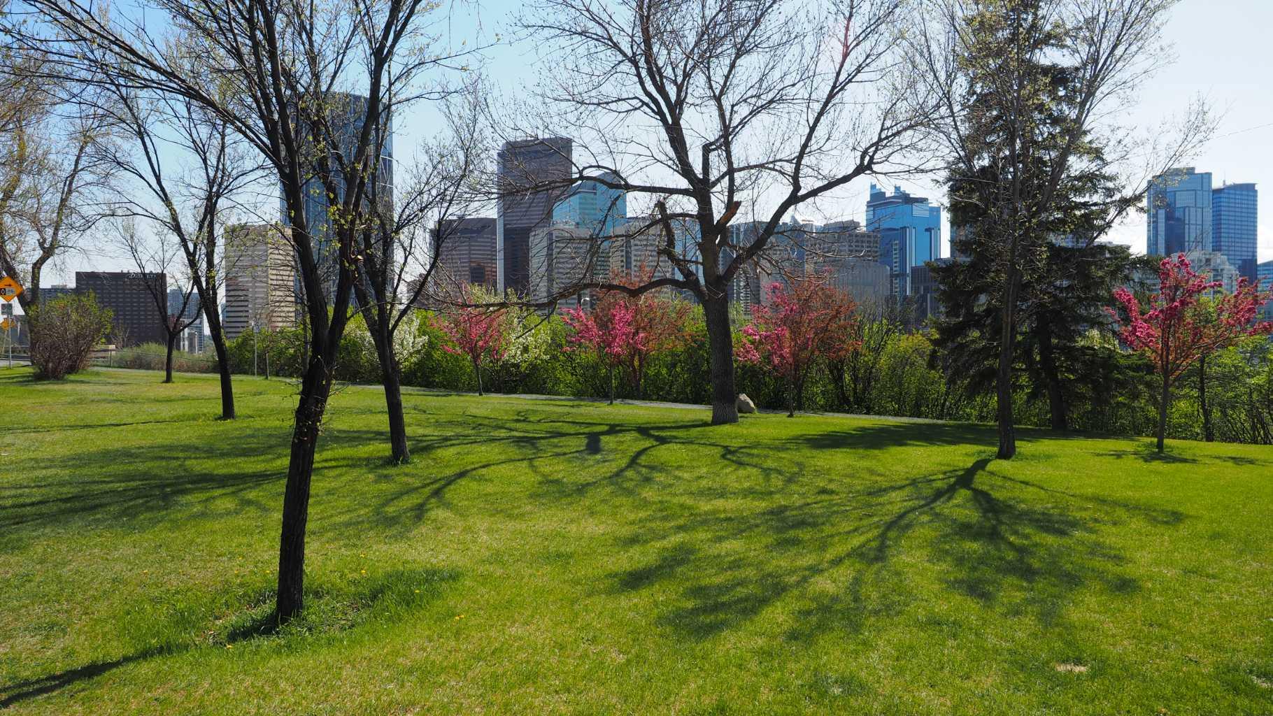 MLS #A2276257 image #41