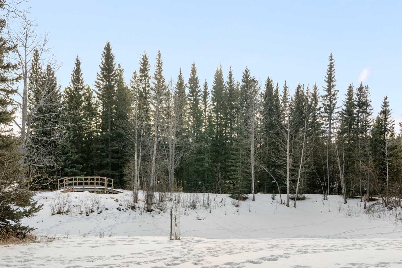 MLS #A2276487 image #40