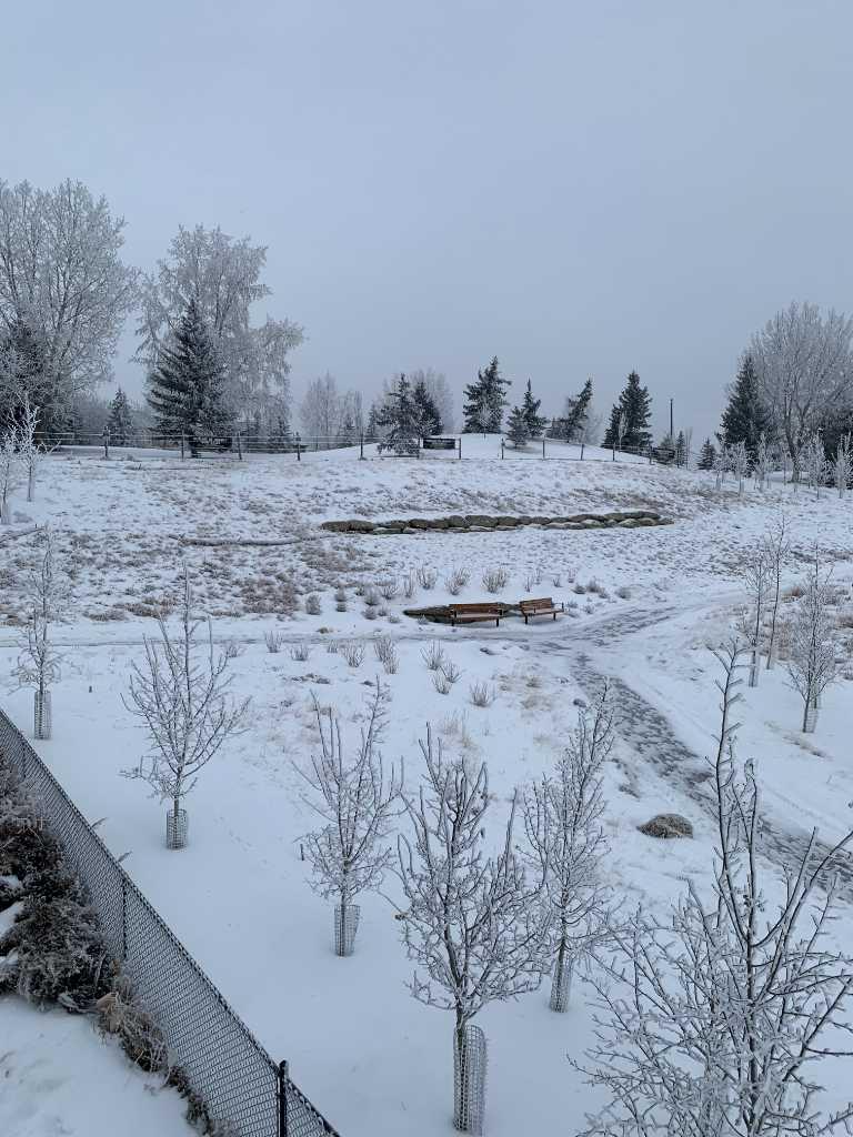 MLS #A2276828 image #3