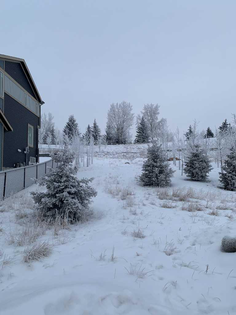 MLS #A2276828 image #4