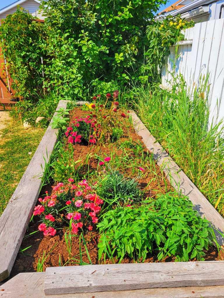 MLS #A2276887 image #34