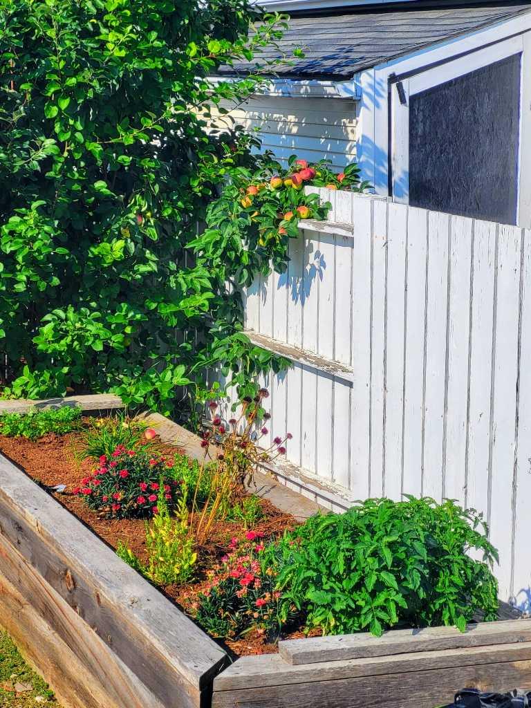 MLS #A2276887 image #35