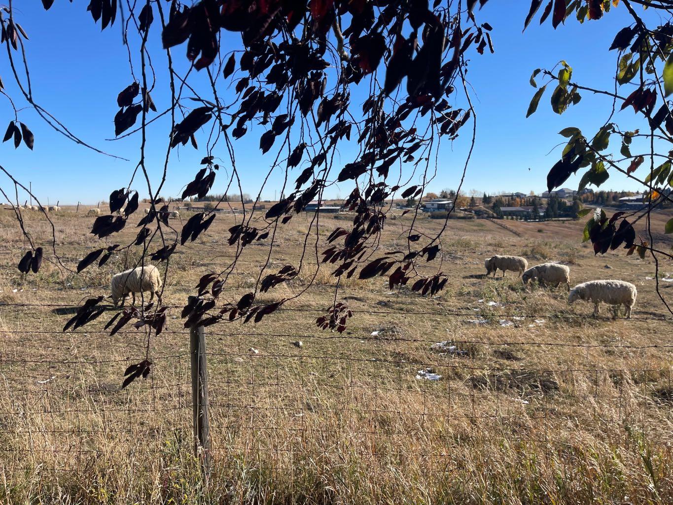 MLS #A2276908 image #17