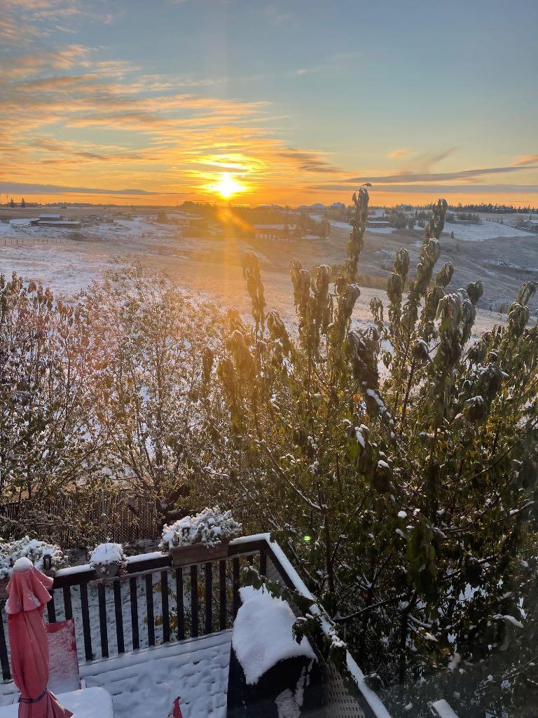 MLS #A2276908 image #32