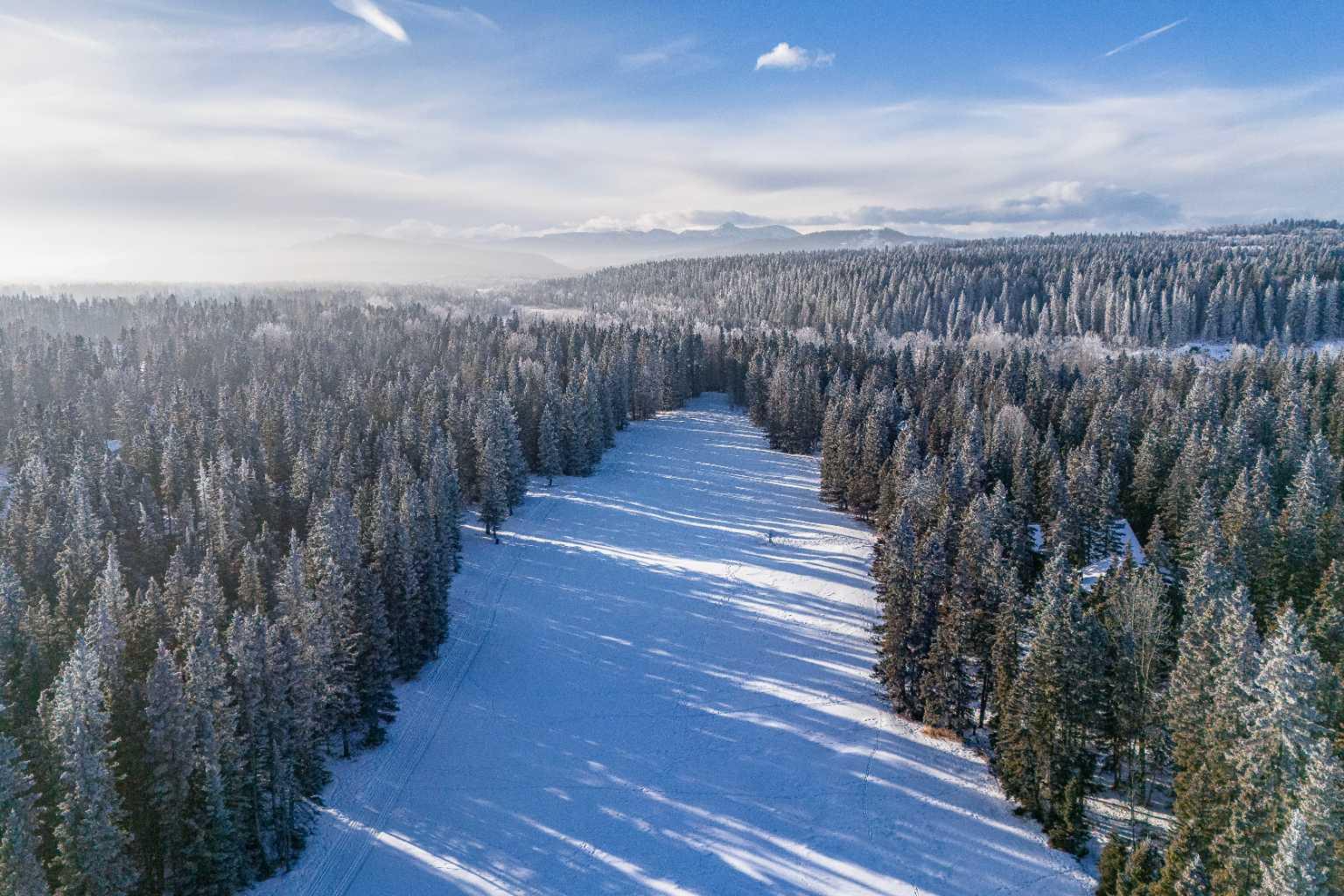 MLS #A2276969 image #45