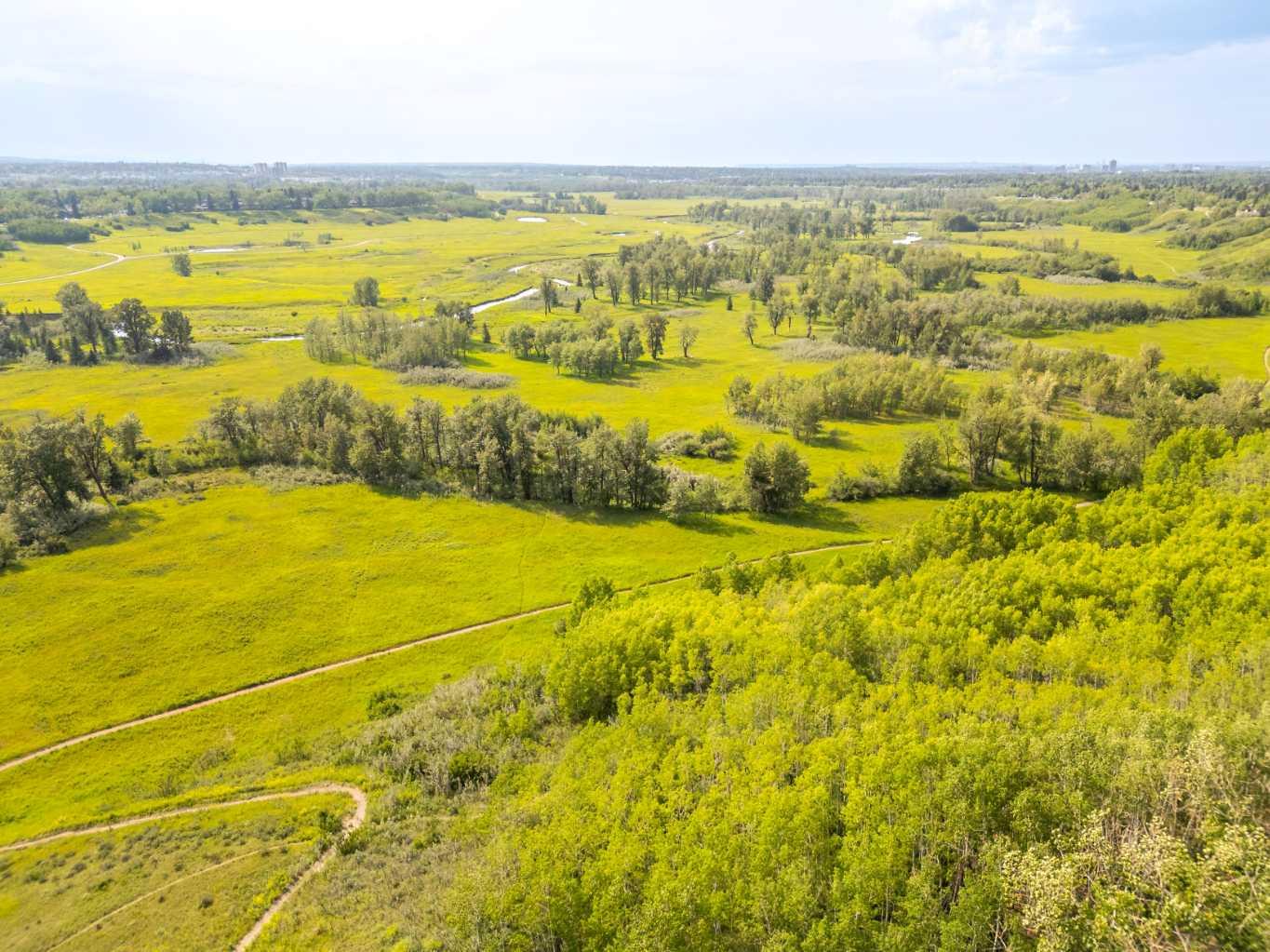 MLS #A2277001 image #37