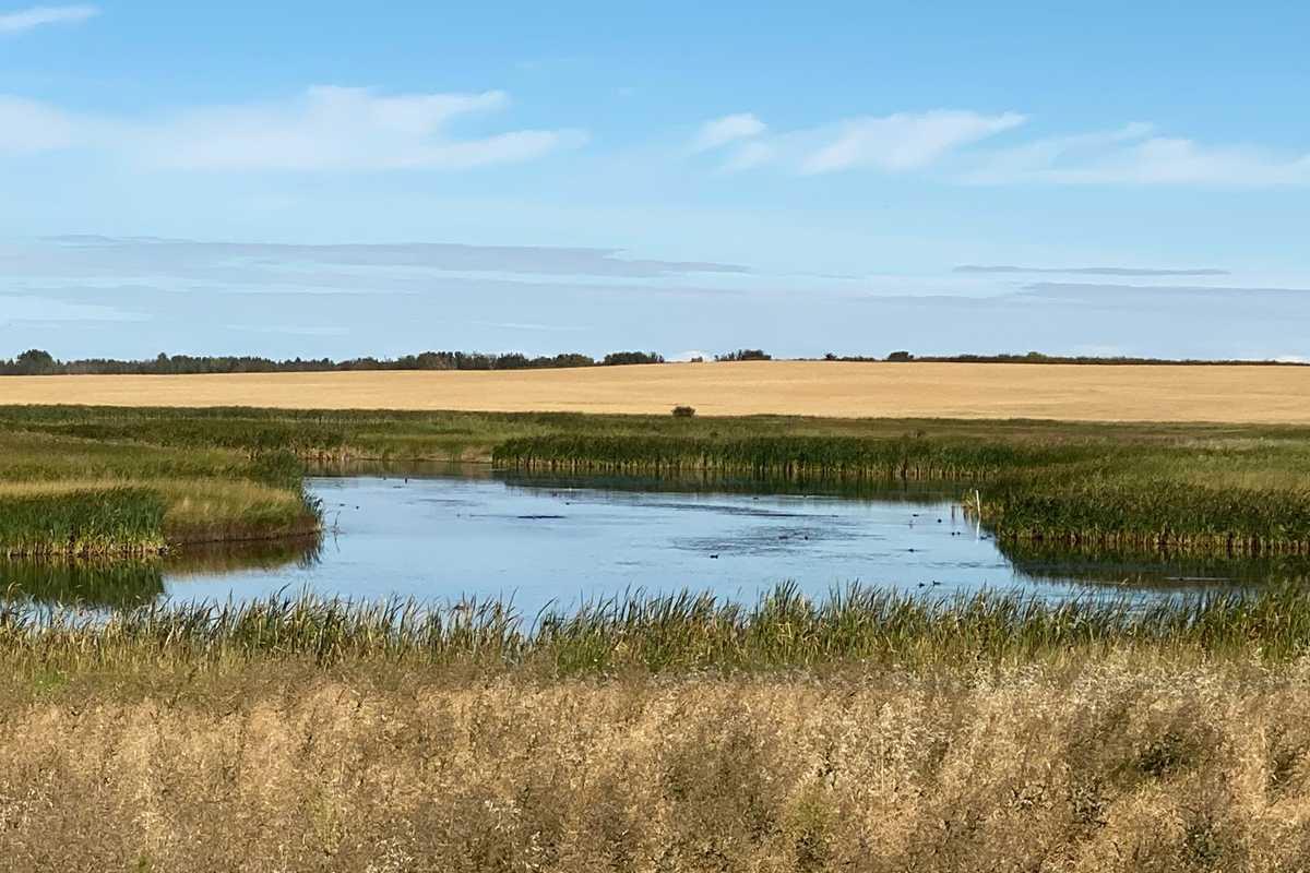 MLS #A2277152 image #44