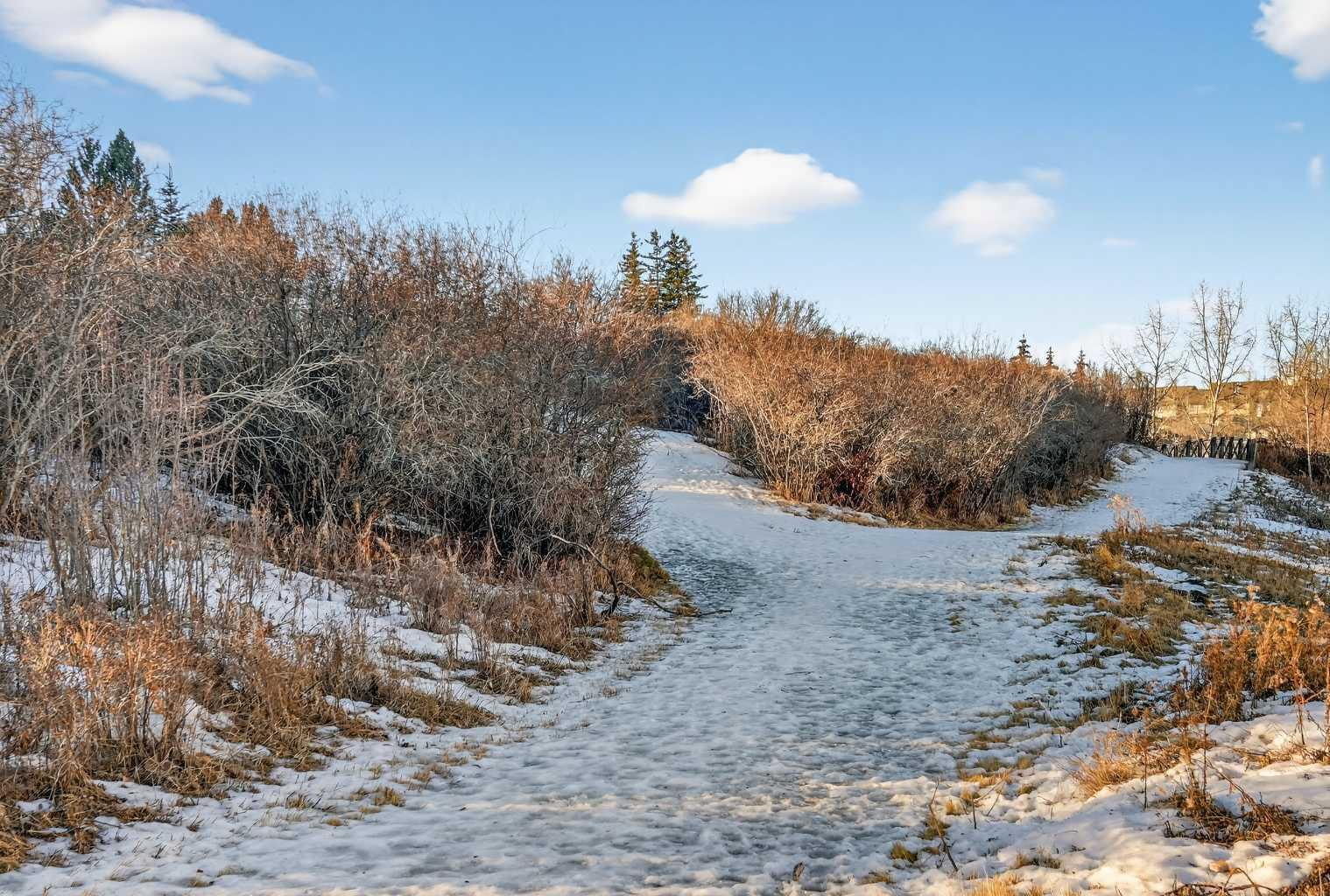 MLS #A2277597 image #4