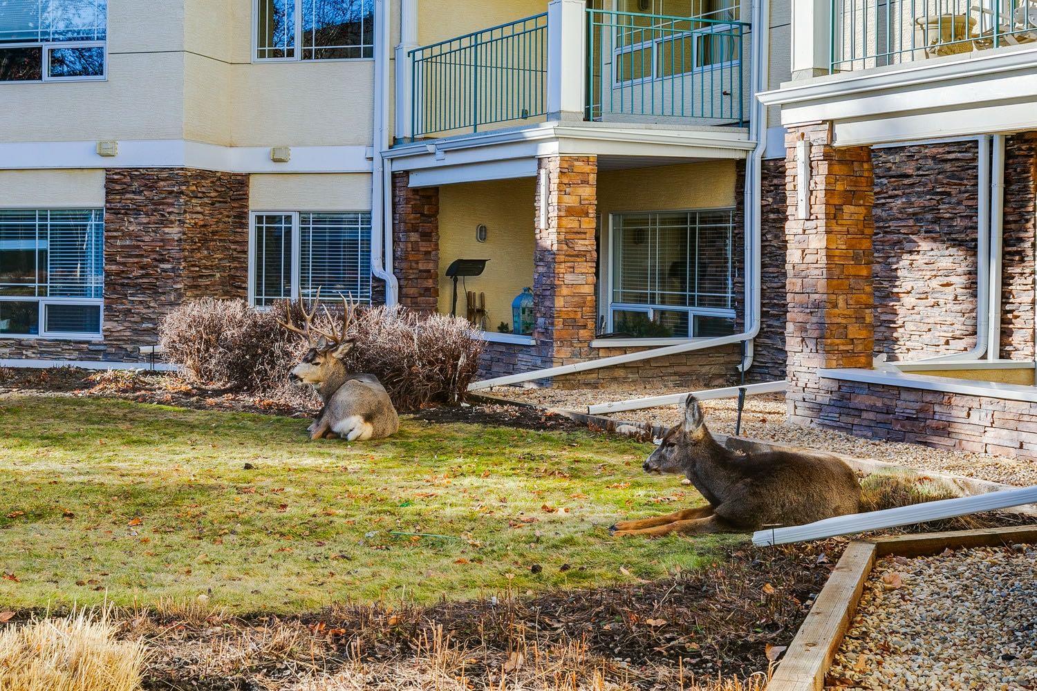 MLS #A2277702 image #36