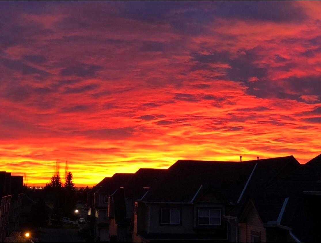 MLS #A2277792 image #42