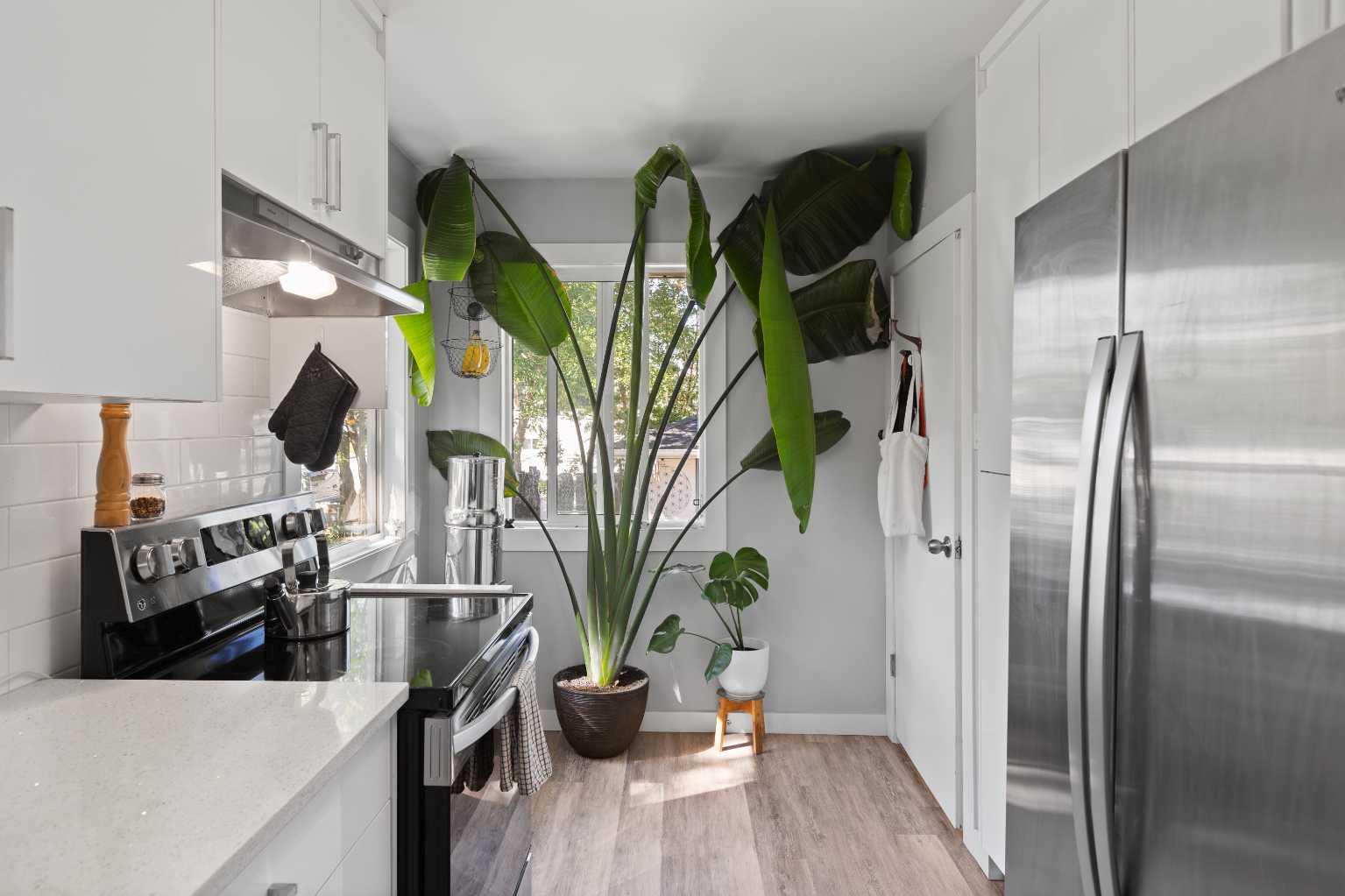 MLS #A2278138 image #10