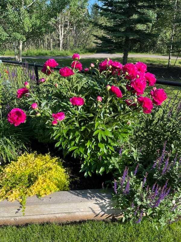 MLS #A2278371 image #34