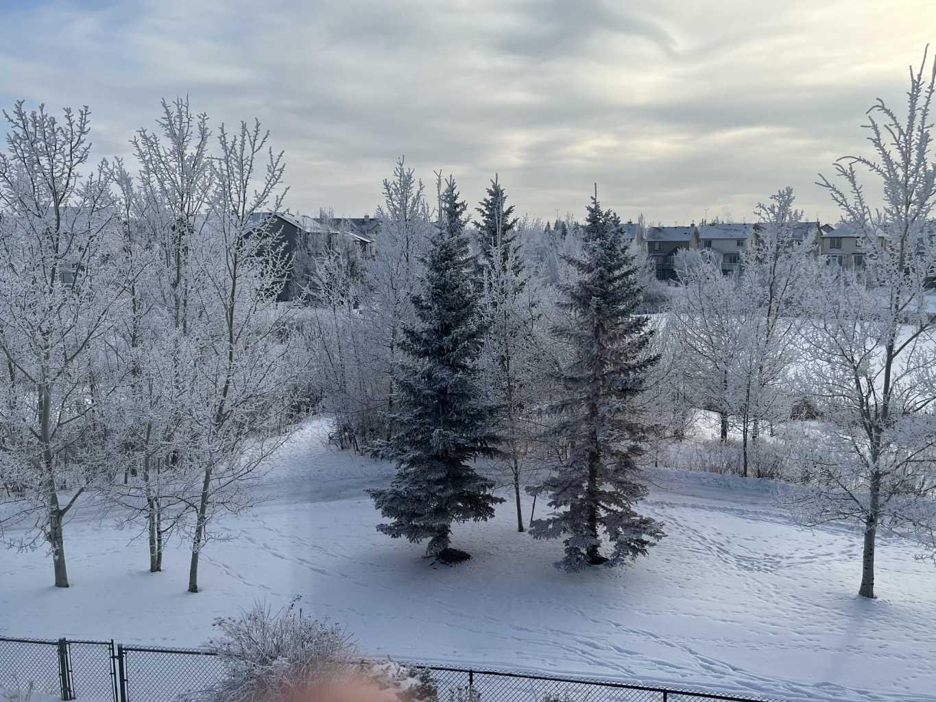 MLS #A2278371 image #46