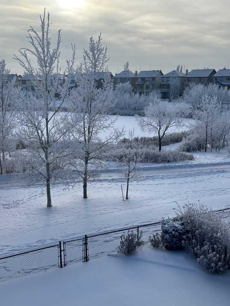 MLS #A2278371 image #47