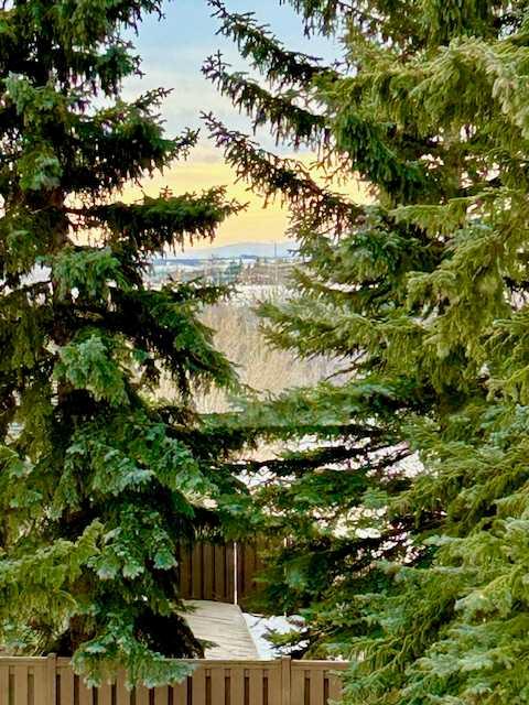 MLS #A2278469 image #33