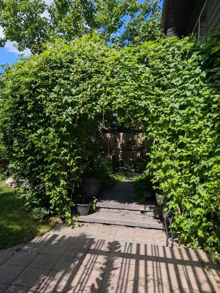 MLS #A2278674 image #35