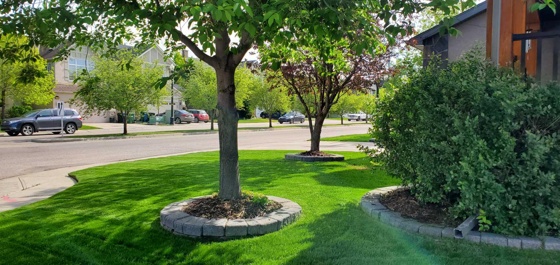 MLS #A2278862 image #43