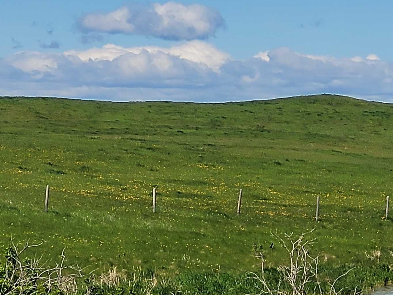 MLS #A2278963 image #13