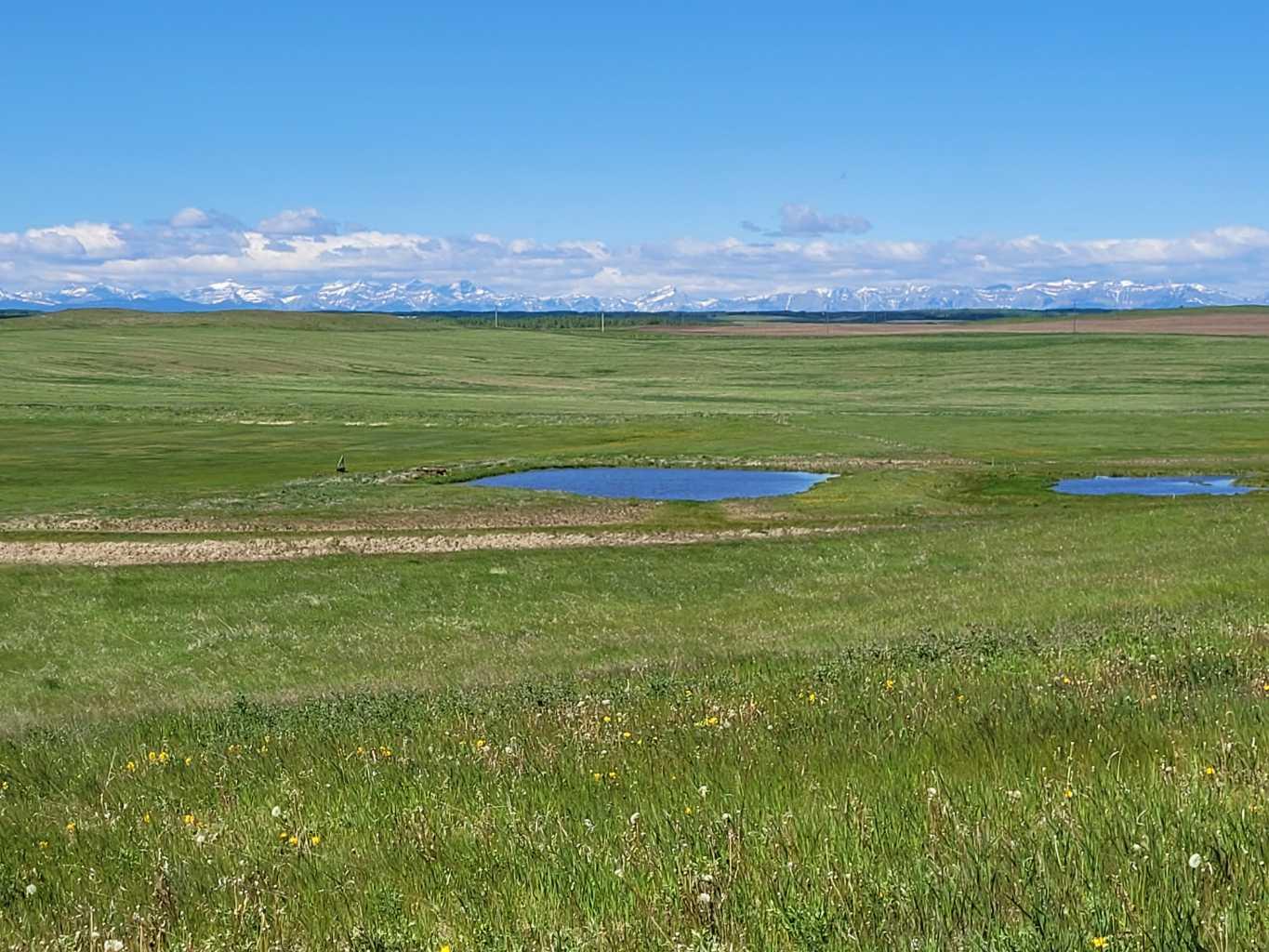 MLS #A2278963 image #18