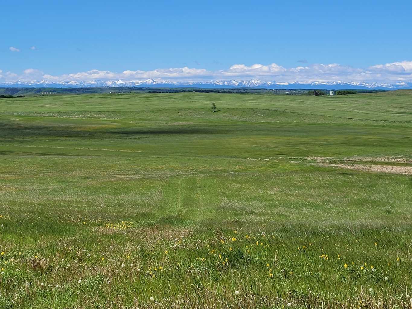 MLS #A2278963 image #19