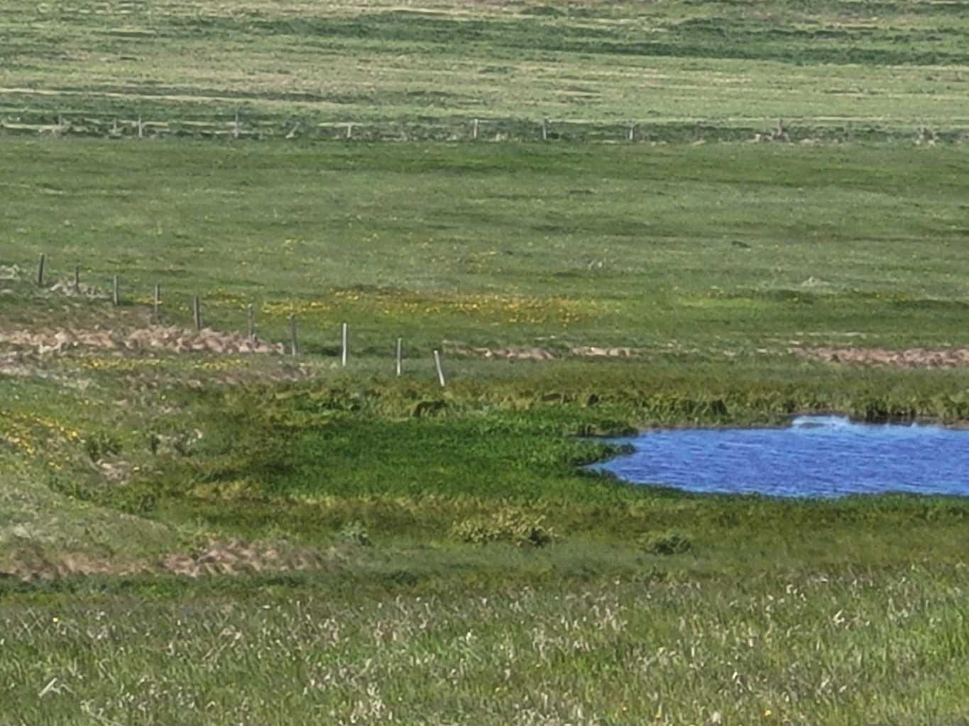 MLS #A2278963 image #20