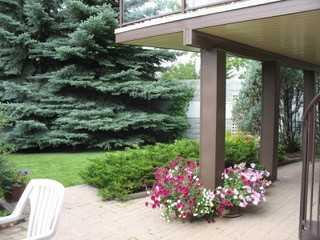 MLS #A2279062 image #40