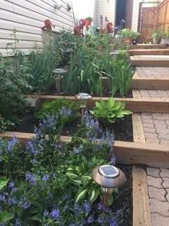 MLS #A2279062 image #41