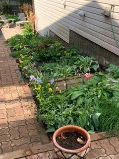 MLS #A2279062 image #44