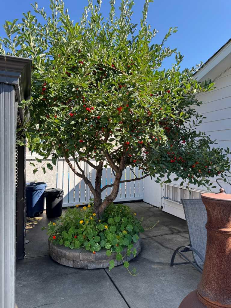 MLS #A2279125 image #46