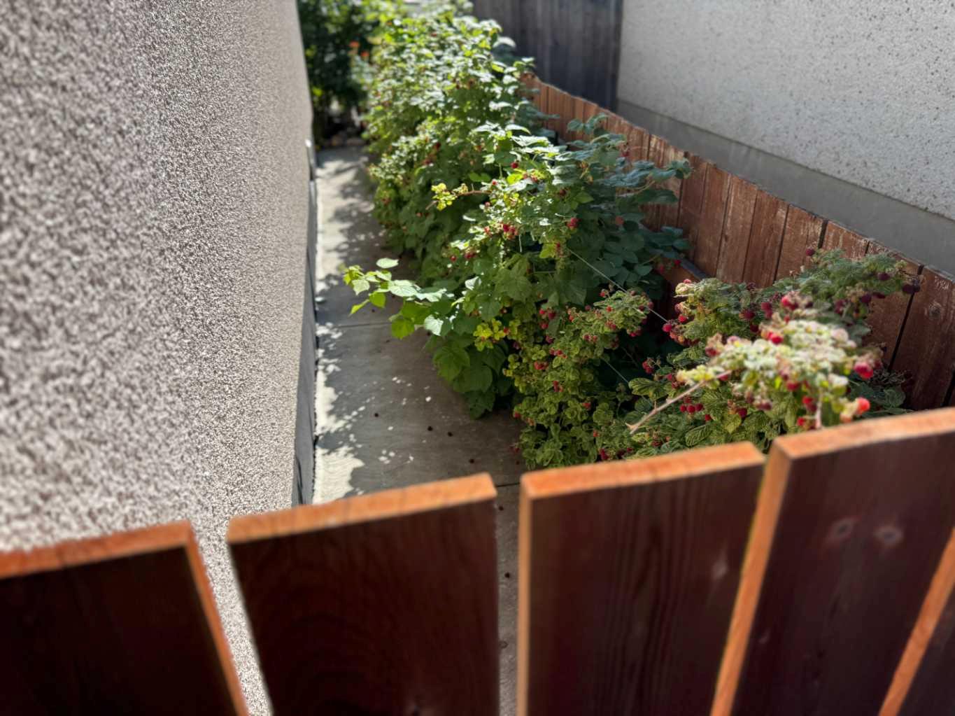 MLS #A2279125 image #47