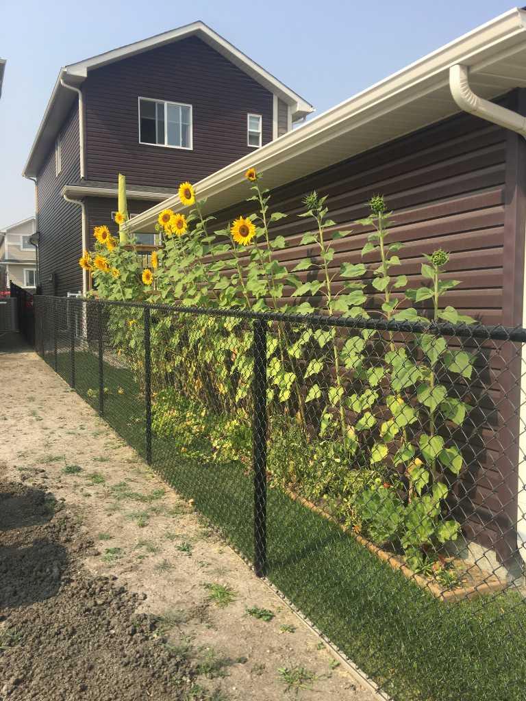 MLS #A2279185 image #29