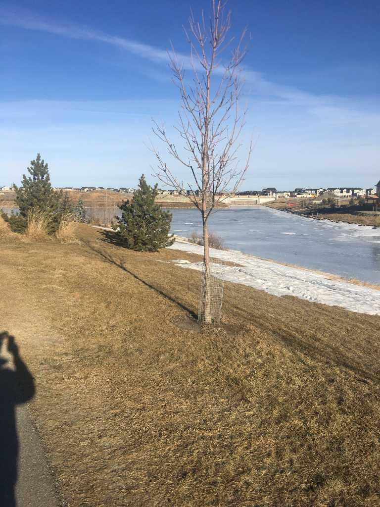 MLS #A2279185 image #38