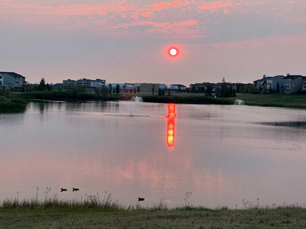 MLS #A2279226 image #49