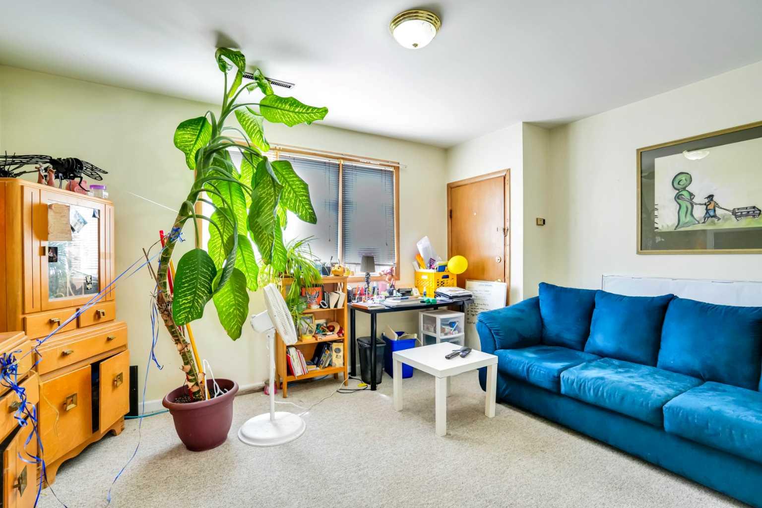 MLS #A2279237 image #7