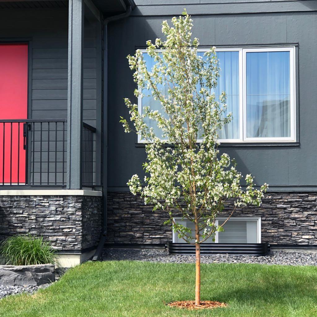 MLS #A2279316 image #41