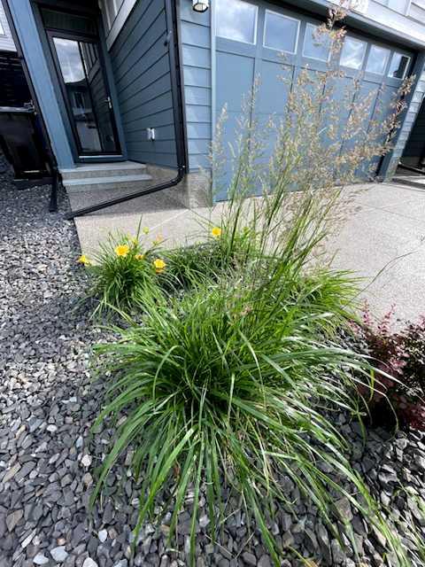 MLS #A2279331 image #40