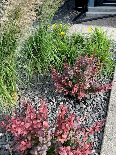 MLS #A2279331 image #41