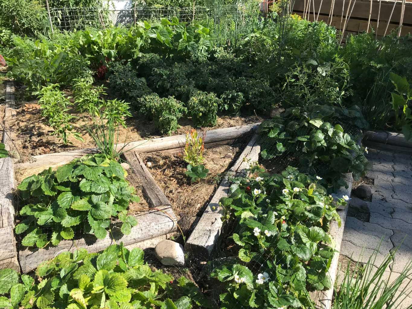 MLS #A2279630 image #36