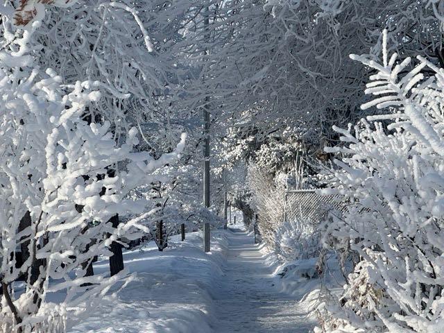 MLS #A2279673 image #45