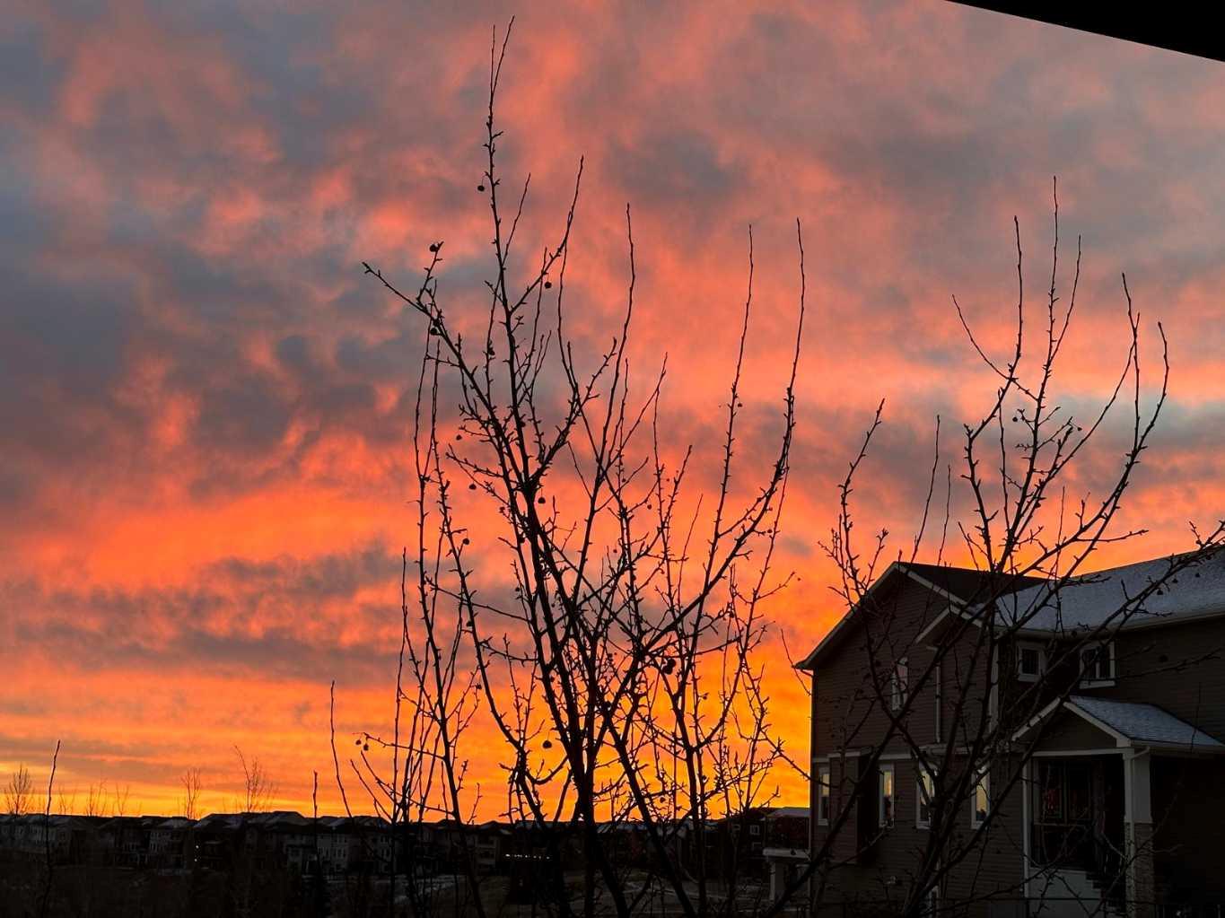 MLS #A2279735 image #36