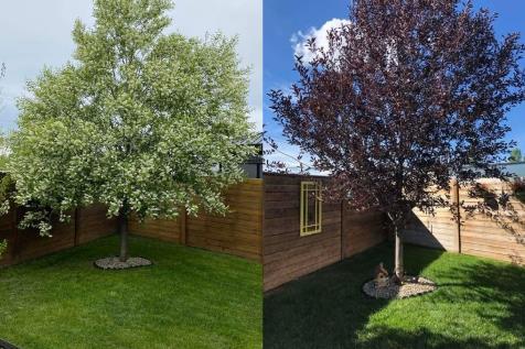 MLS #A2279766 image #46