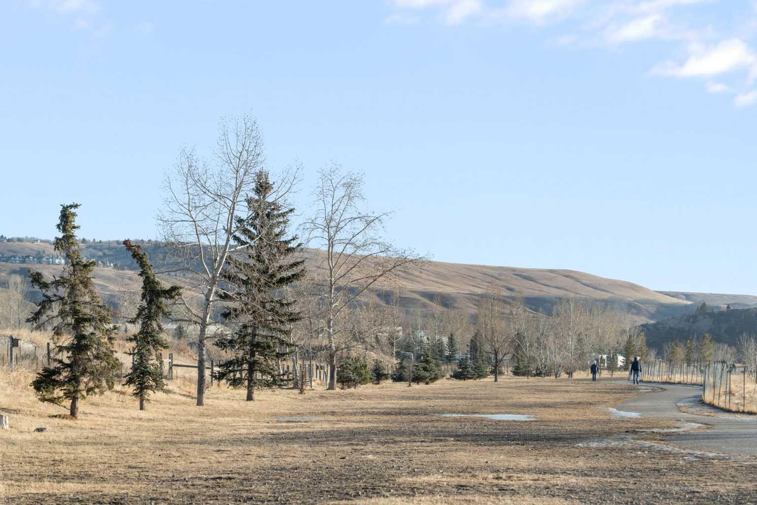 MLS #A2279942 image #39