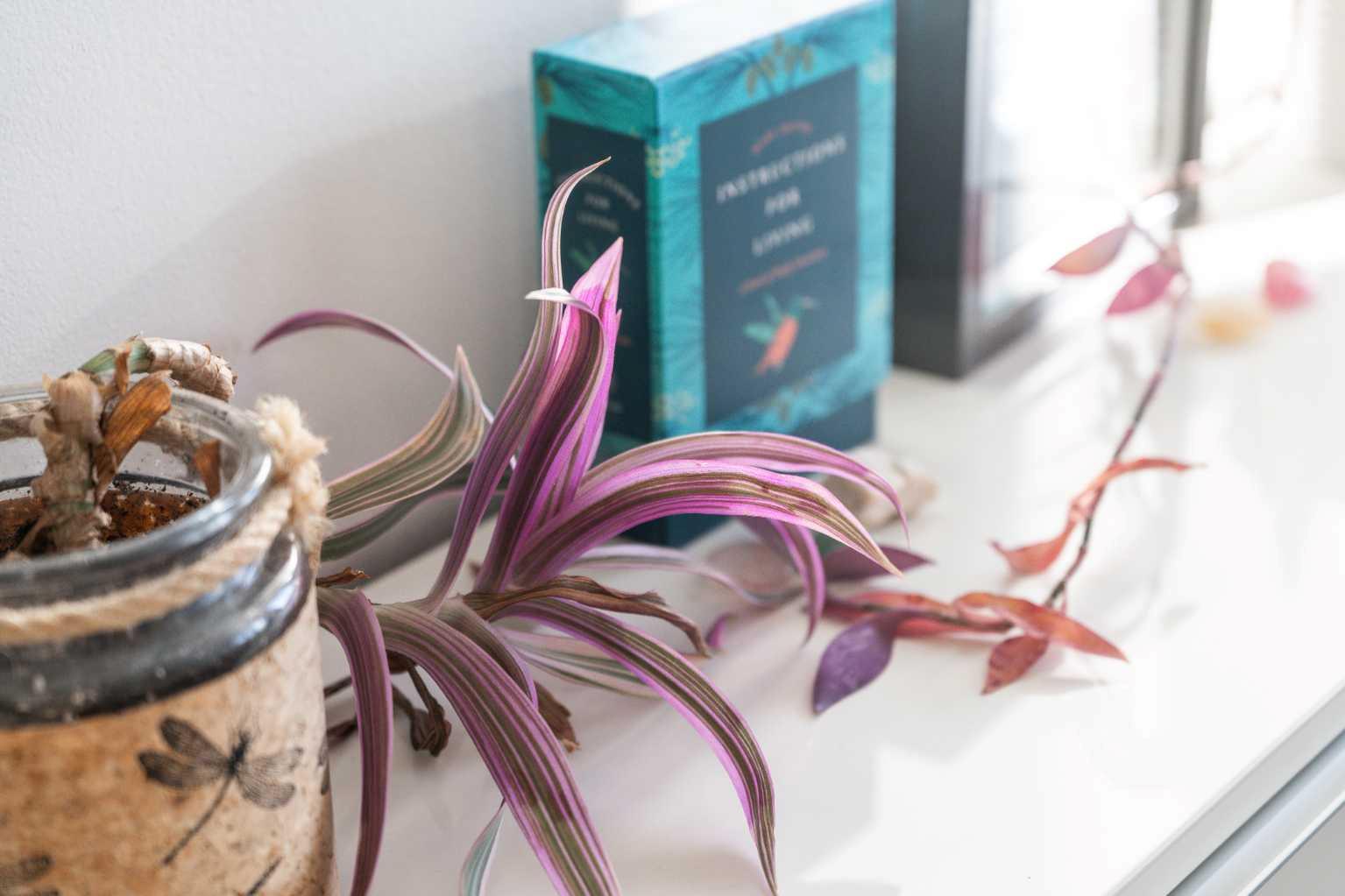 MLS #A2279996 image #18