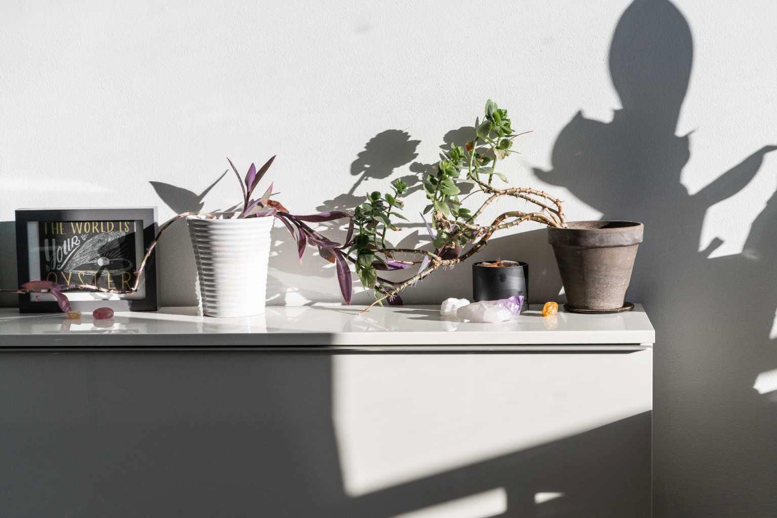 MLS #A2279996 image #19